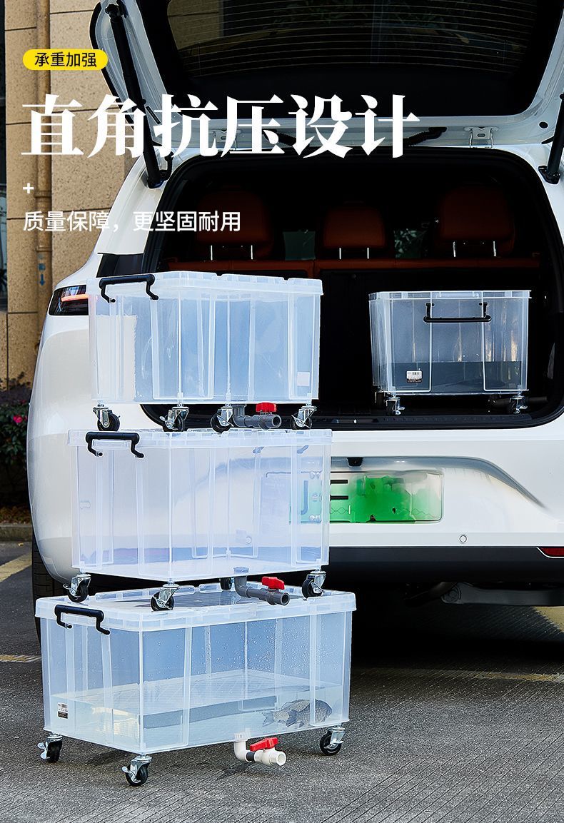 3c5da8a0-c53c-4392-9306-84609cbc87fa.jpe