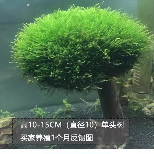 d511b327-3070-495d-ac04-8f14dd9b08be.jpe