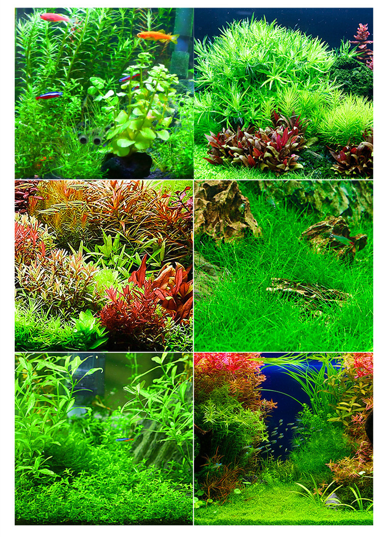 c086cdbb-5e51-4785-ac29-e3c093550a03.jpe