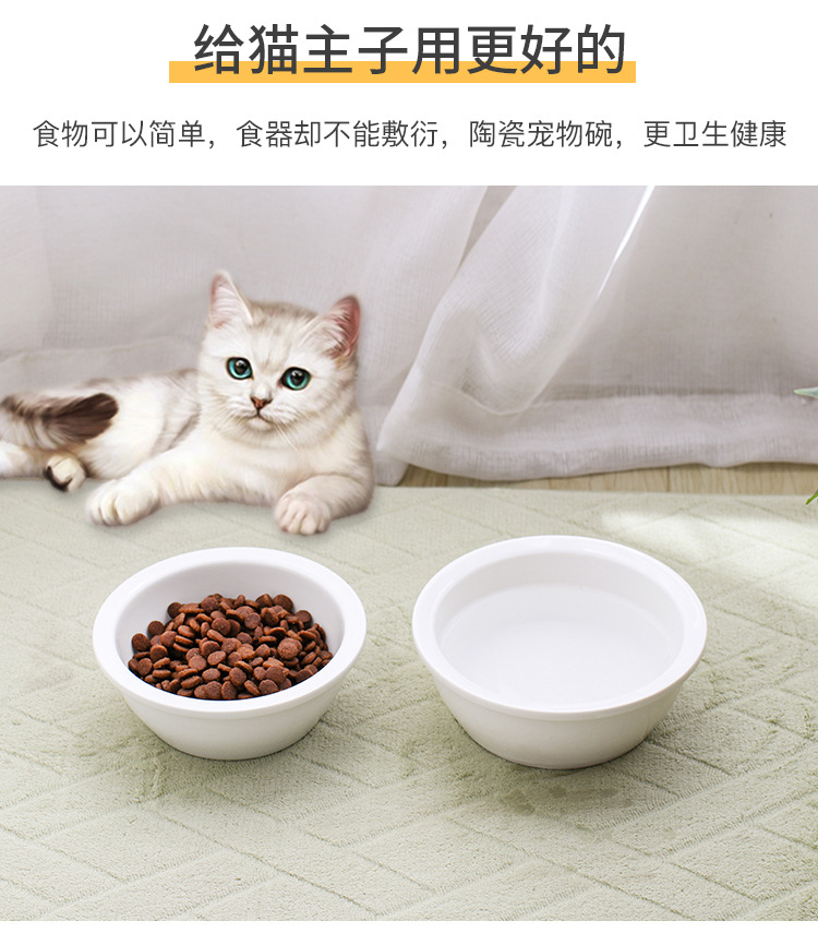 02宠物碗_02