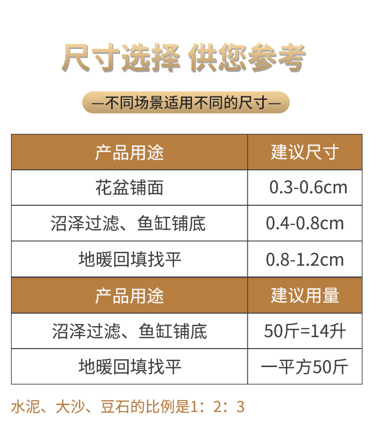 图片_08