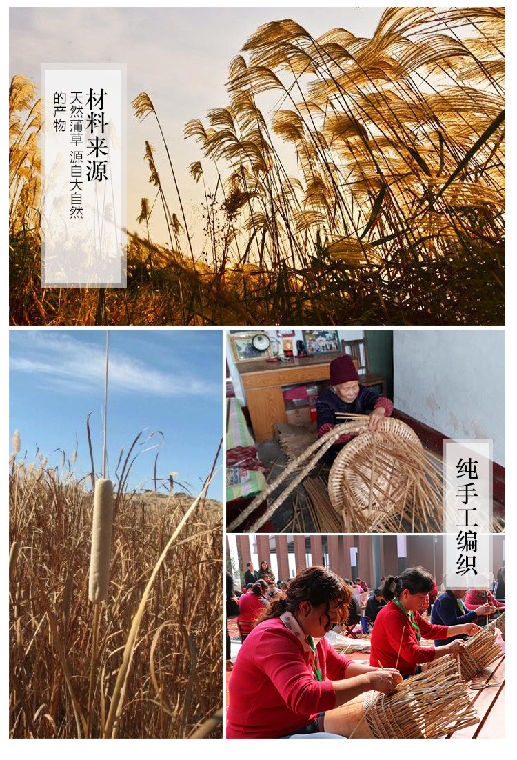 d0fc1bf5-888d-4943-a43c-a6fedd1cfdf6.jpe