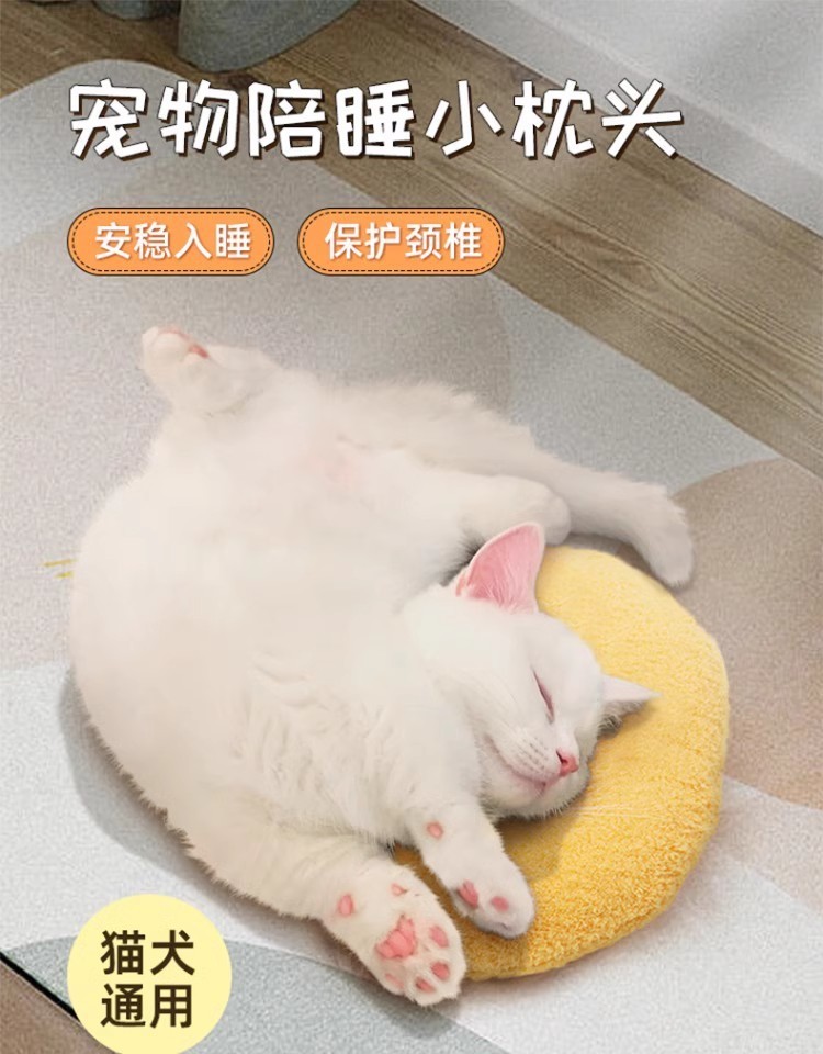 dc7a91da-9958-49c8-84a8-4c1c53556f1b.jpe