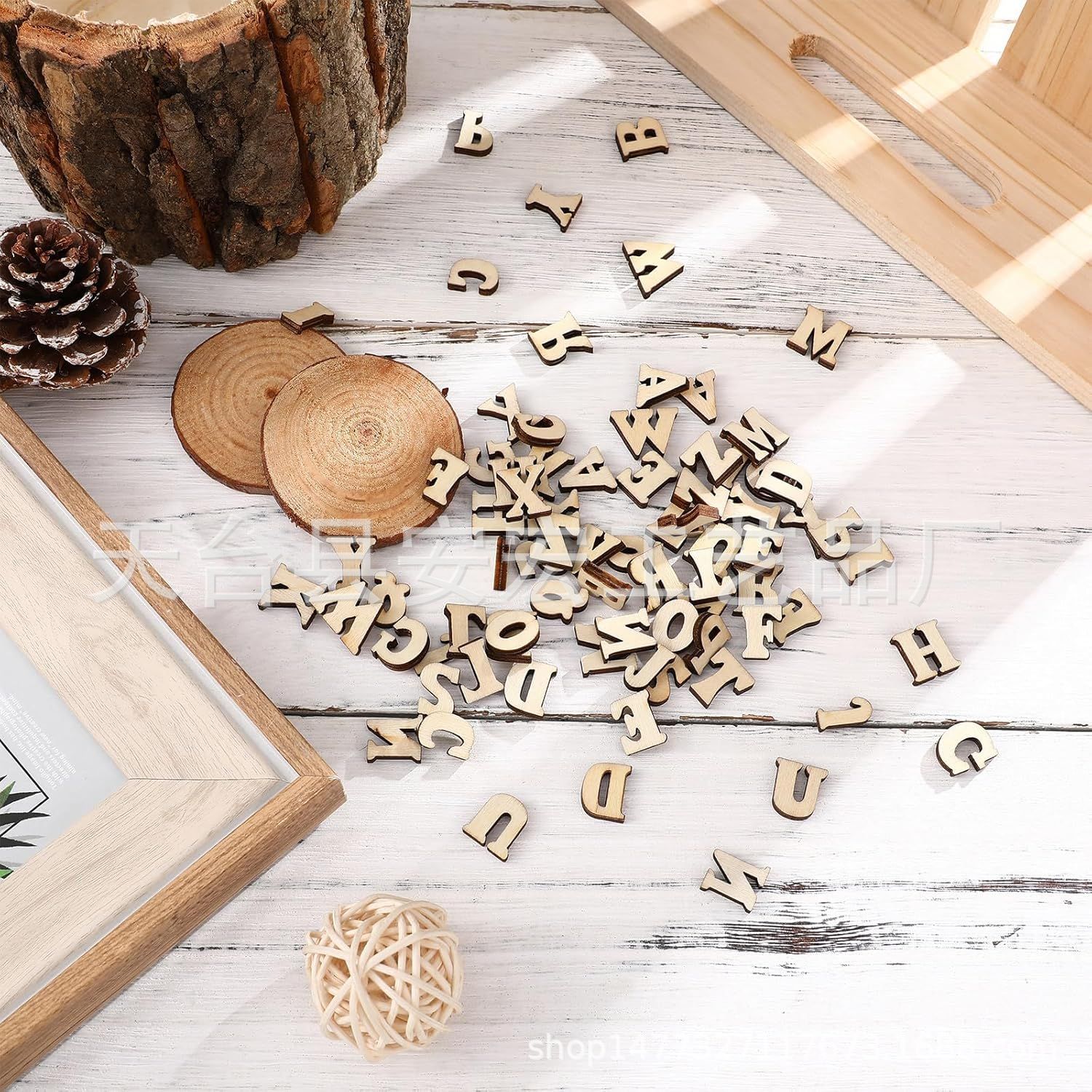 微信图片_20241026131328