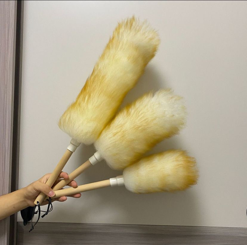 48a6a86d-b14b-4bb2-b9b7-f0373213d1a3.jpe