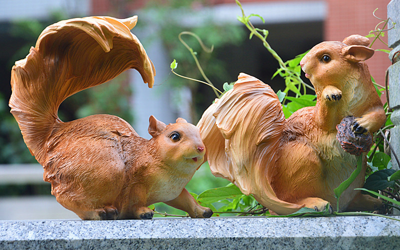DSC_0035_副本.jpg