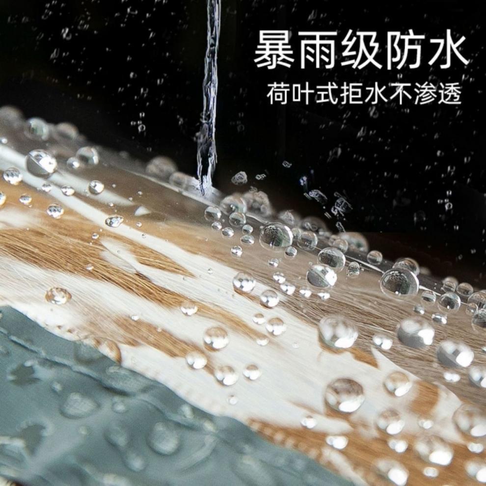 f3fefdd5-1f31-4fed-8728-cf5d0329ed98.jpe