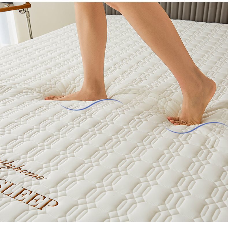 da2ac98f-a584-4933-a500-b19b22ac4e23.jpe