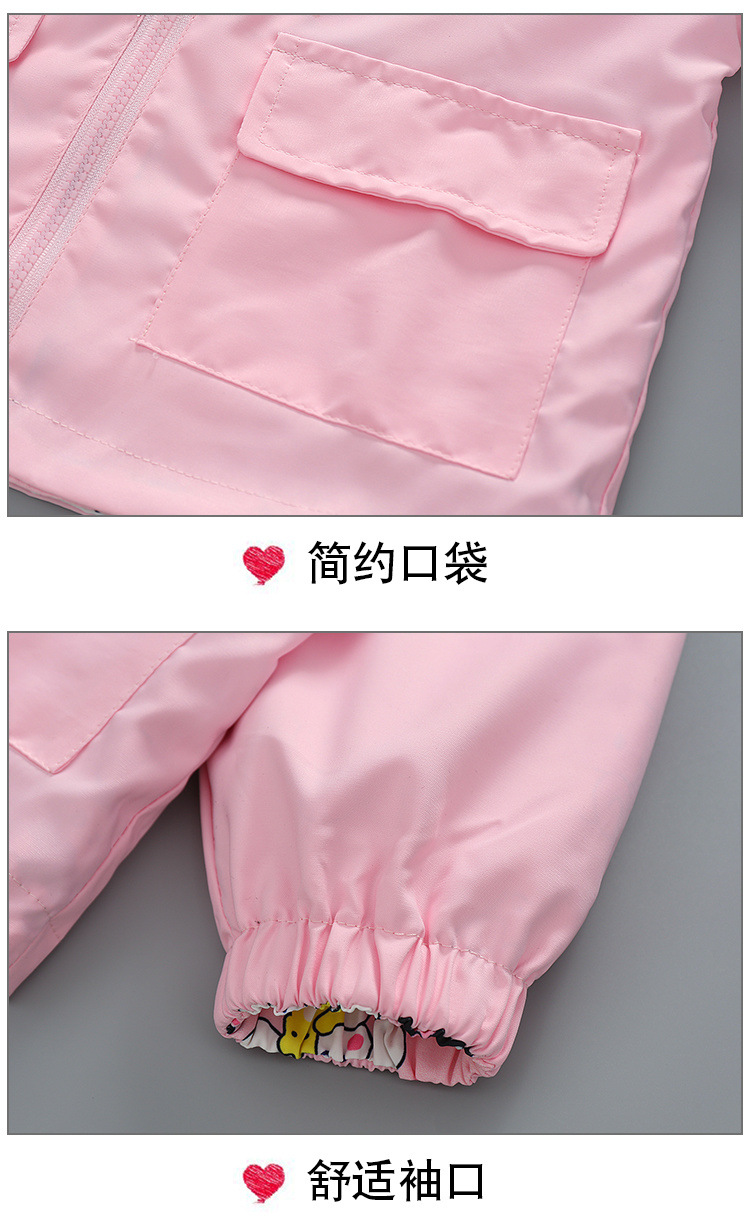 db6e0218-5f87-4027-9aa4-2f06e36710df.jpe