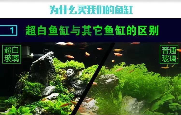 236f539b-6adc-4230-897a-9f412bd416bf.jpe