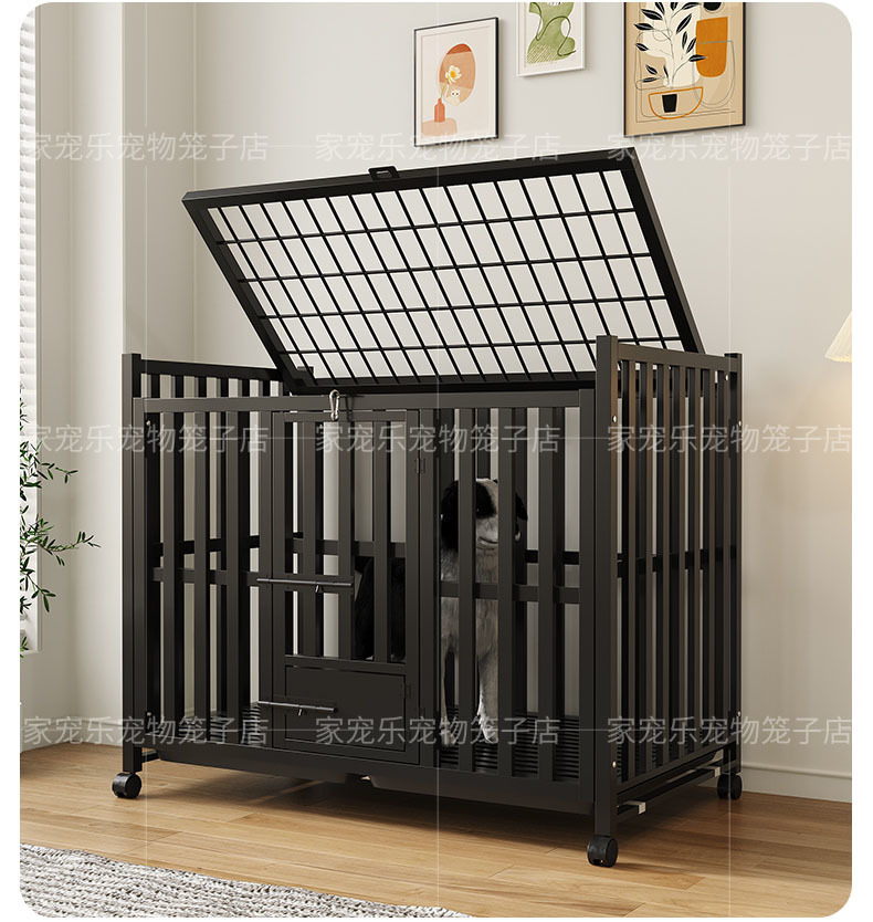 096b1326-cda1-48dc-8875-72093c6e01d2.jpe