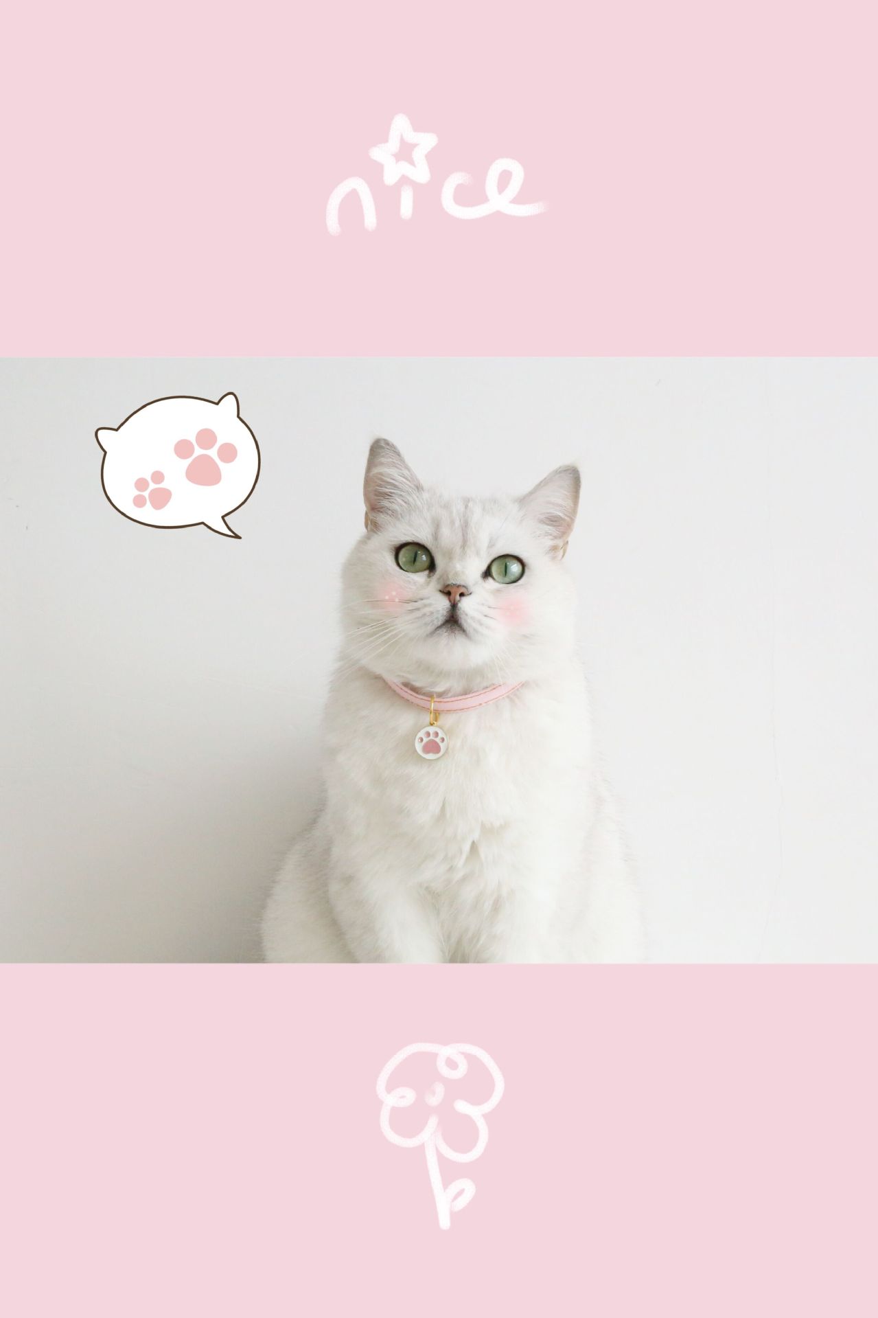 QQ图片20220526095107