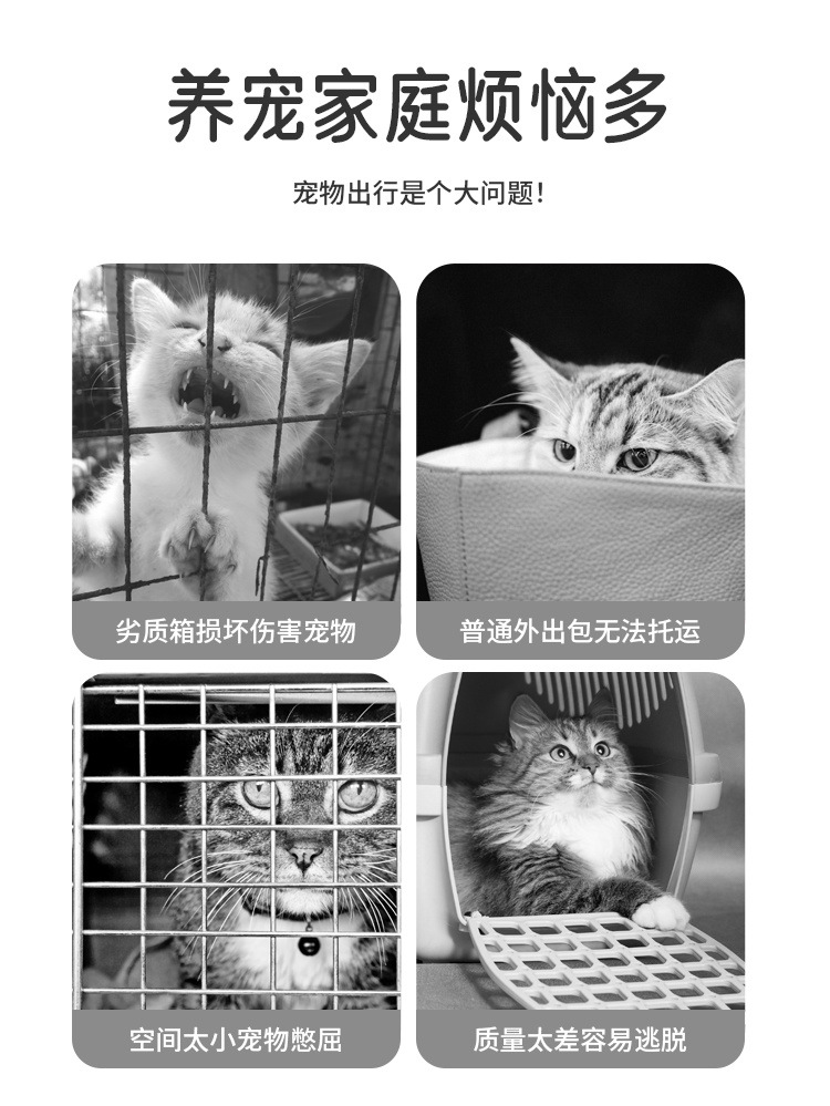 99c2f70e-96b9-4692-823e-3334dc48dd77.jpe