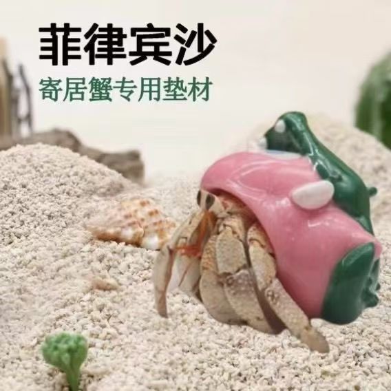 微信图片_20250804093511.jpg