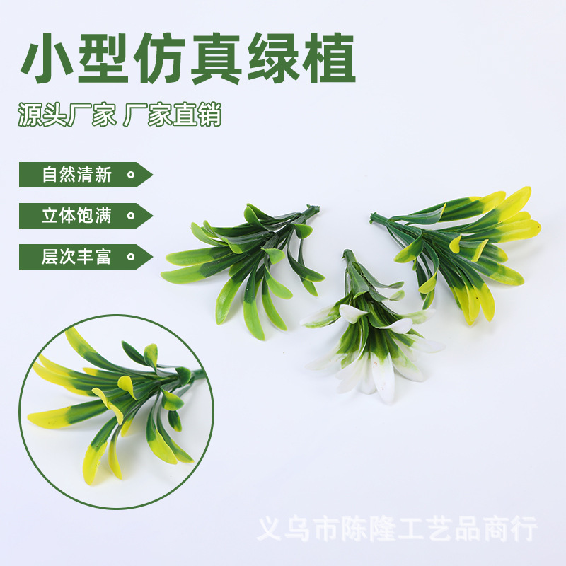 O1CN01zLnMJh1QEP59gq2dT_!!2220