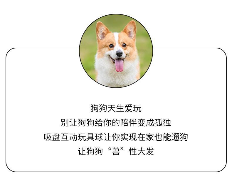 b58060b3-c2a6-4c98-9e23-9e3514d6b273.jpe