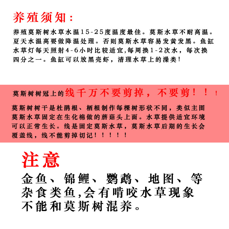 d7ef9b31-1071-40b7-9dea-234d9193434a.jpe