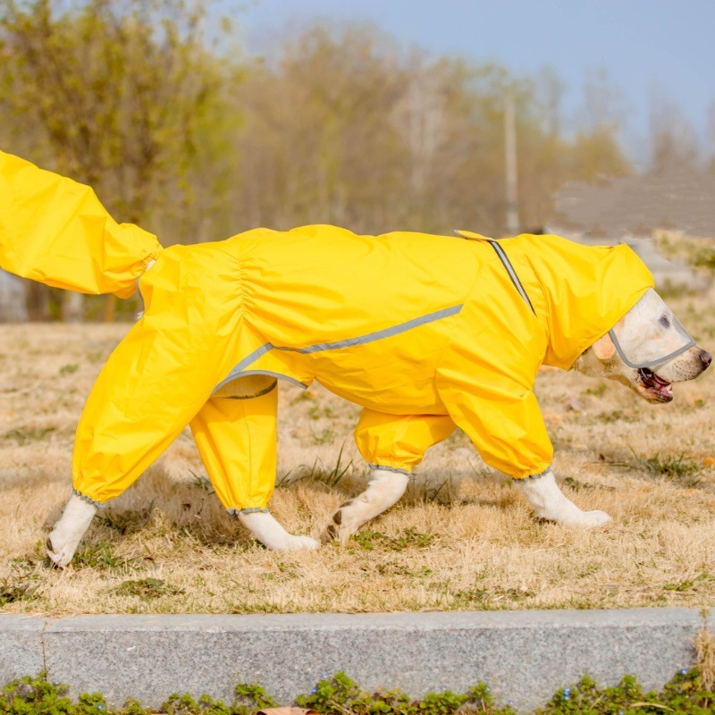 4d6bed35-043c-4dcf-998e-639ee332091b.jpe