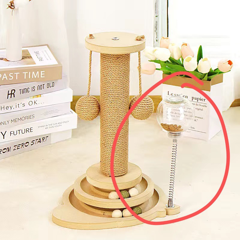 e3207228-312a-4f69-8bb4-58560a39ca0f.jpe