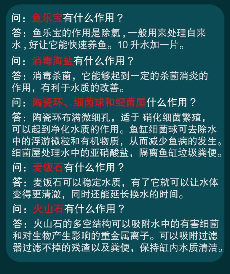 c65d5581-bcc8-4154-8753-5cb9fb7e8d74.jpe