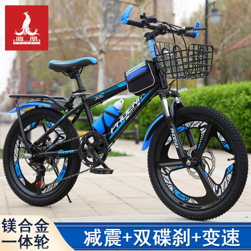 428f53d3-3d8e-4e49-8ae2-724539d9cb9e.jpe