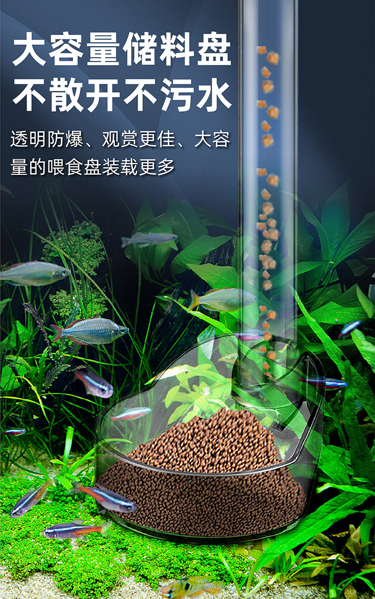 详情