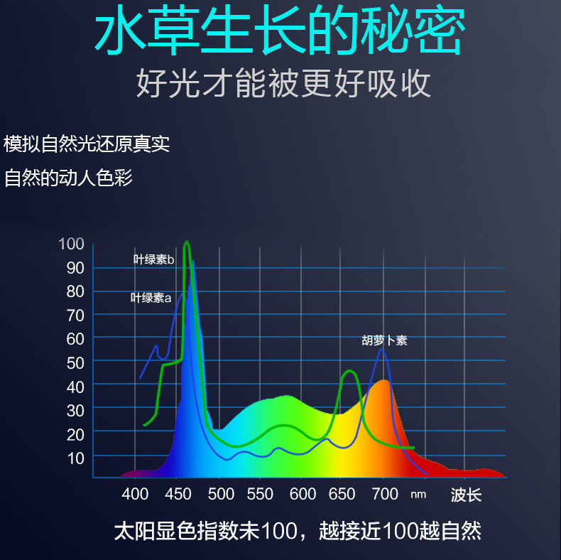 08da6191-1610-4e64-bcc9-fd7e960ee036.jpe