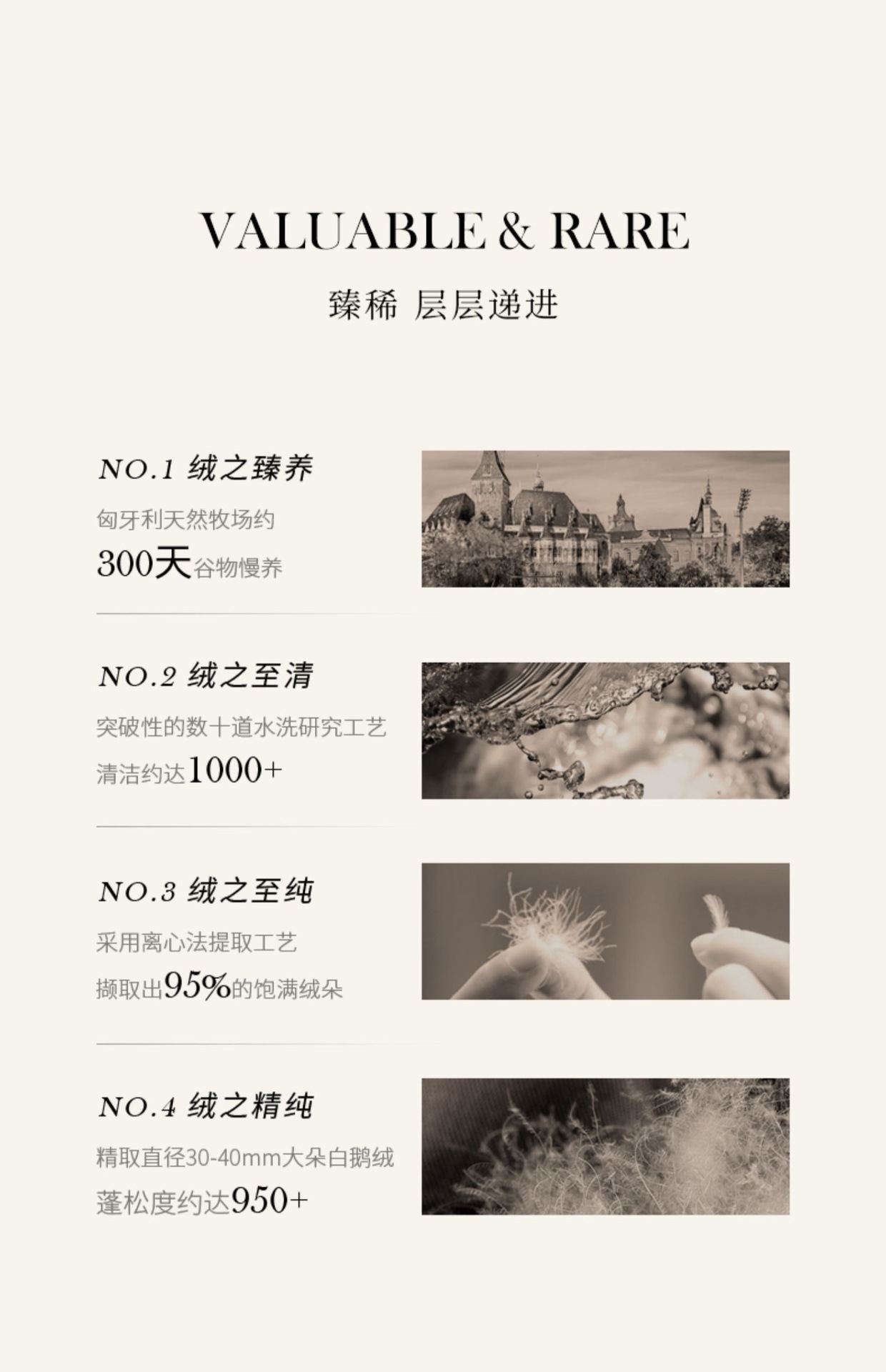 IMG_1934(20221124-171140)