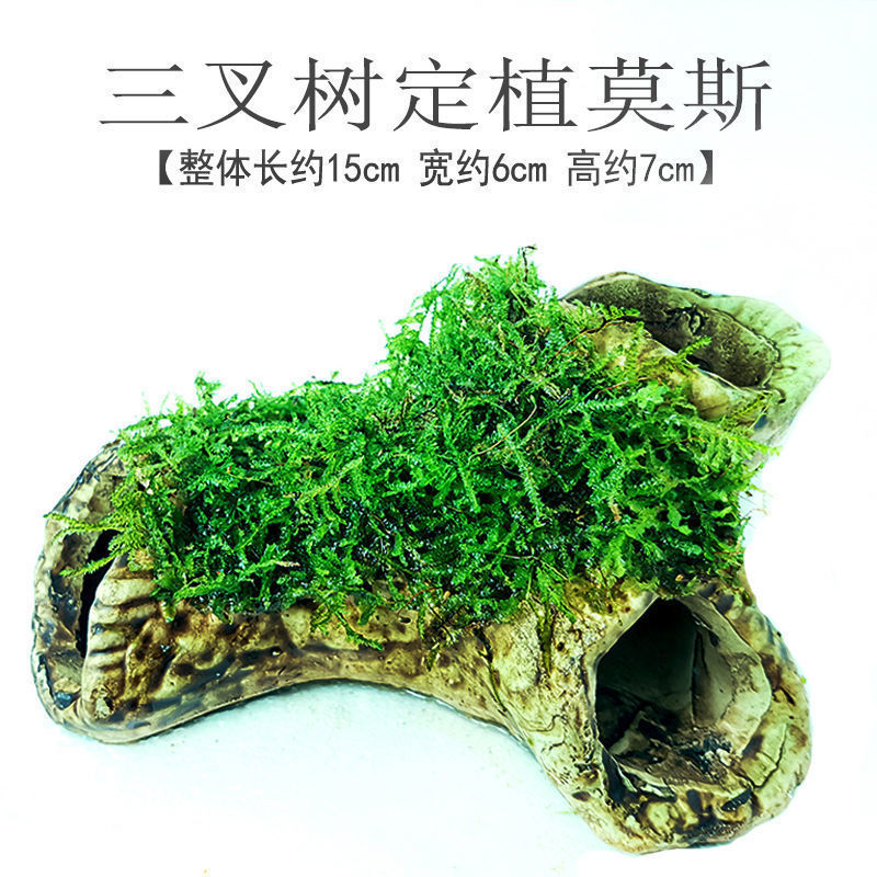 d9ef7691-716b-4040-b7f0-e31f21500af1.jpe