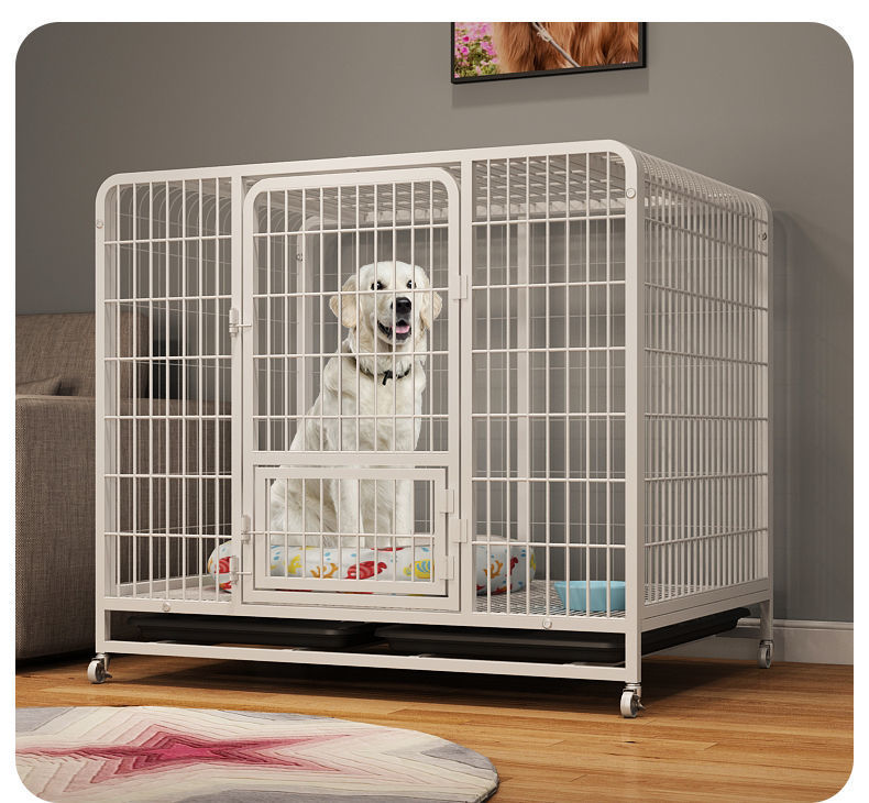 b6e2397c-5abb-421a-bbce-808f26f36c2a.jpe