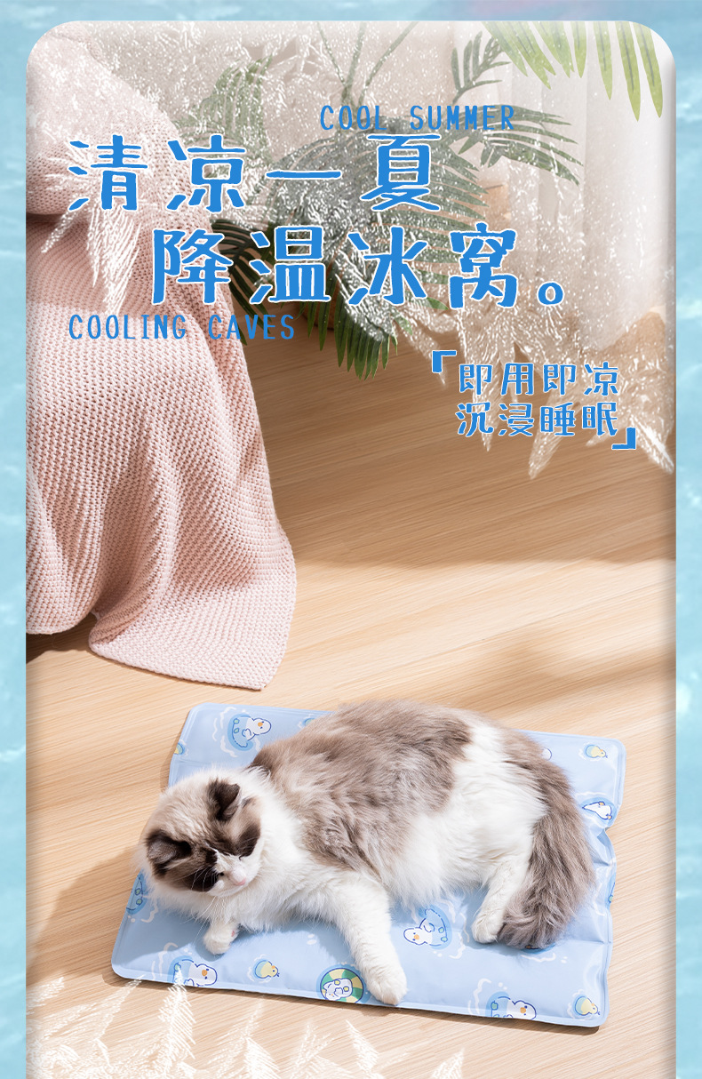 详情_01.jpg