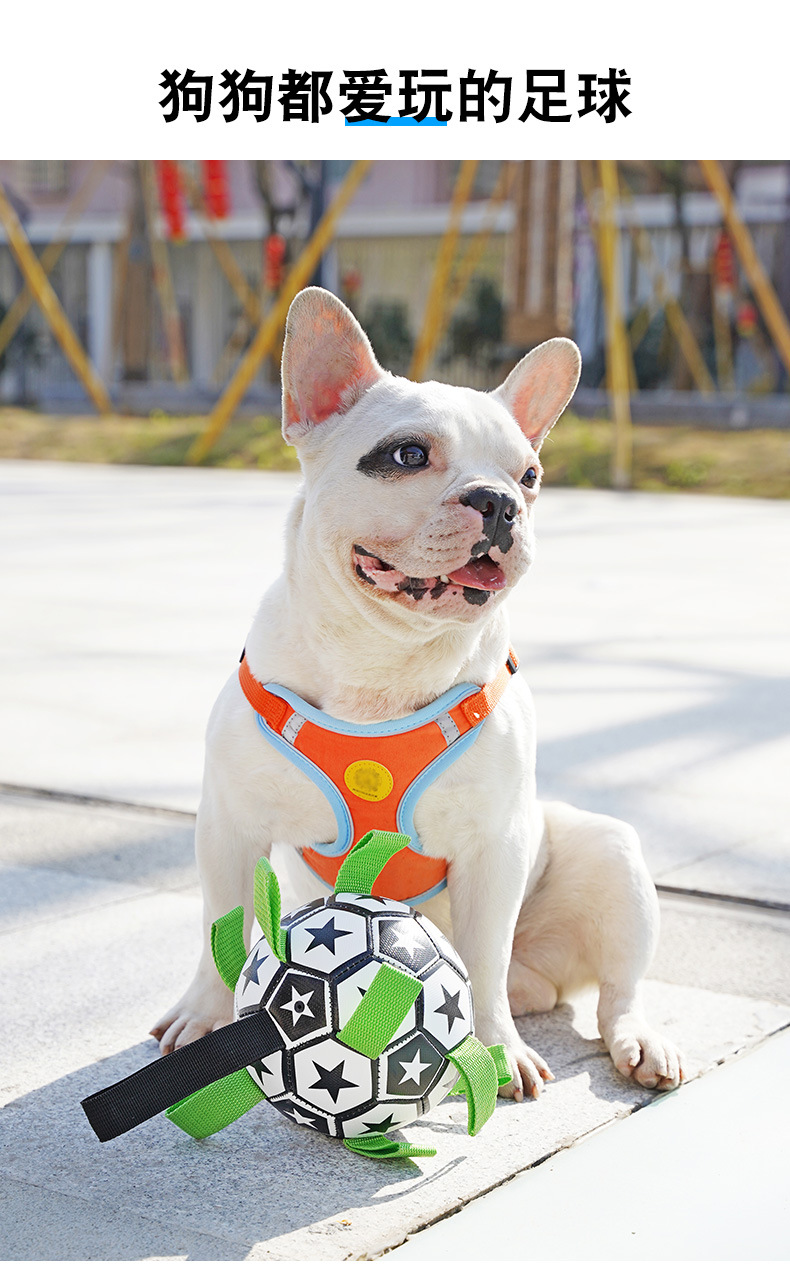 详情-1688-换图_08