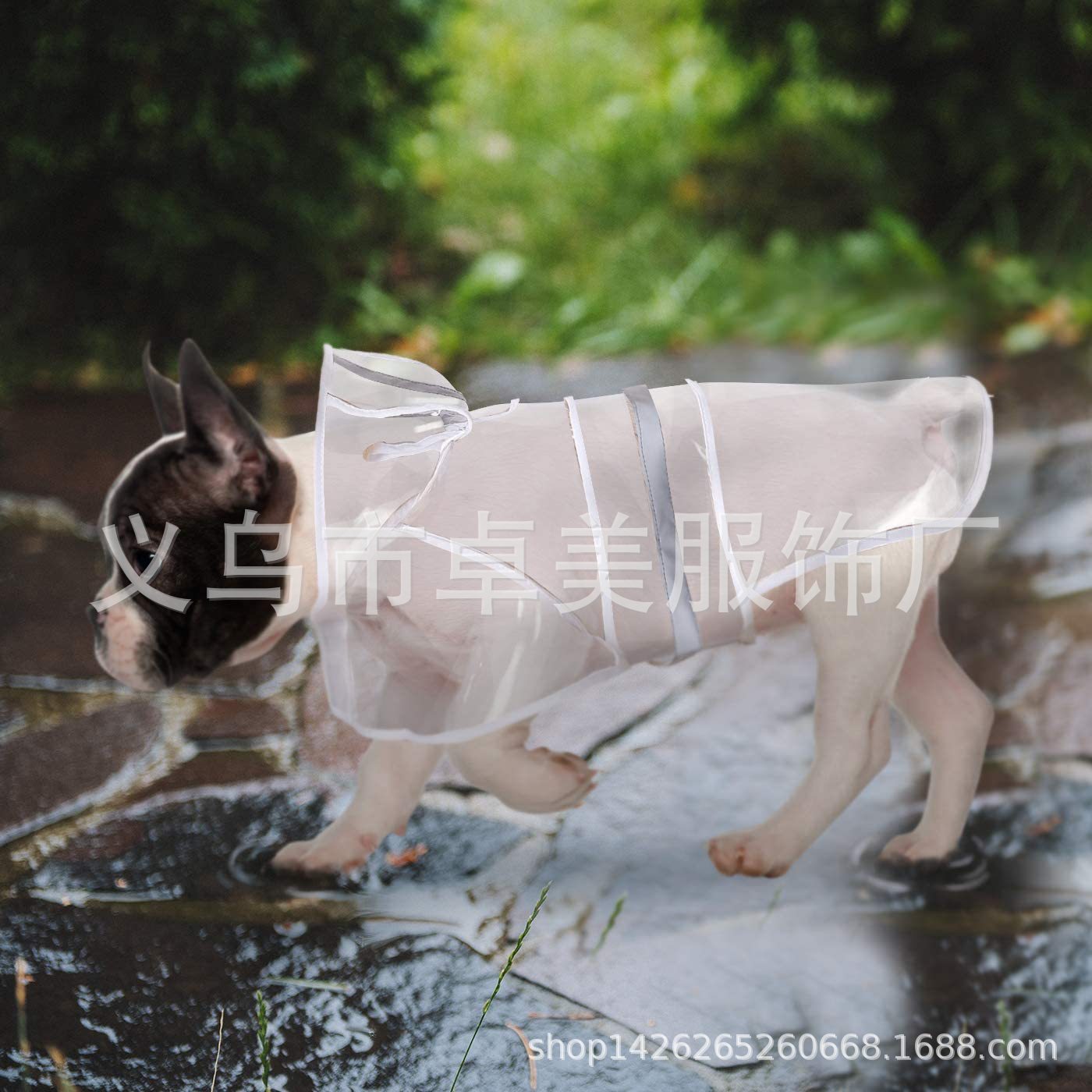 小号 透明-04