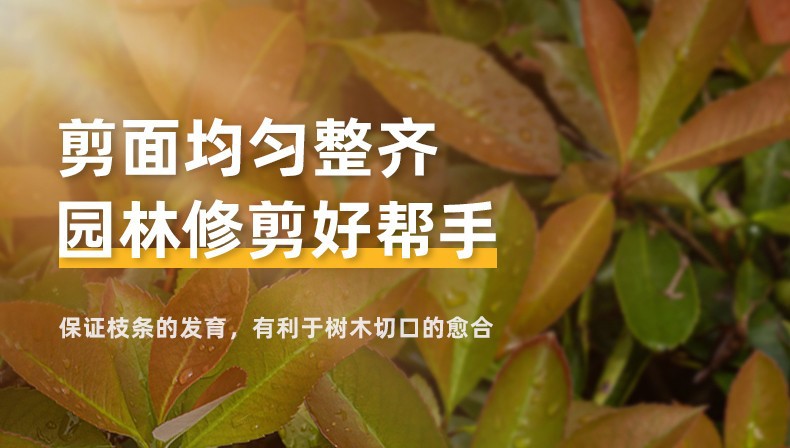 47ecec2e3b591018.jpg