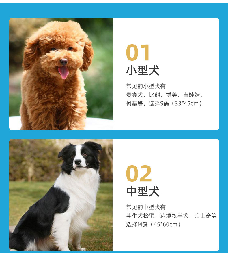 O1CN014u9B741c6rX27k25g_!!2212