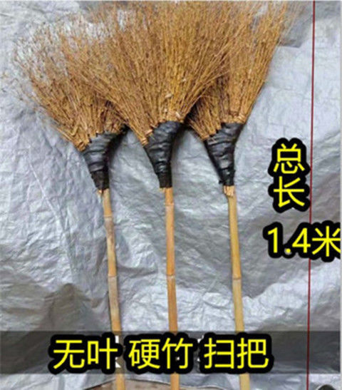 3d944527-666f-404e-83f4-83ede088c7bb.jpe