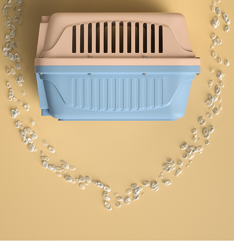 1ed0e366-ef7f-42af-aa1d-77d5bd08d12b.jpe