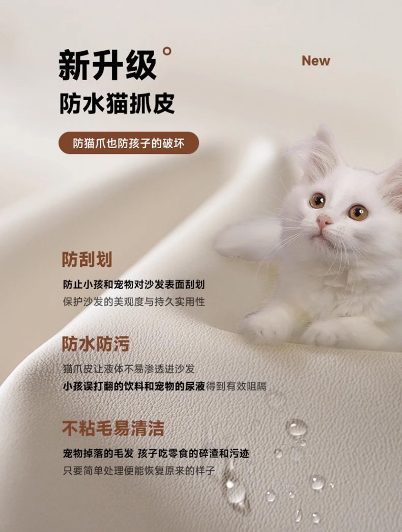 431c51e2-87c7-4745-830b-9c42eeeb1f5c.jpe