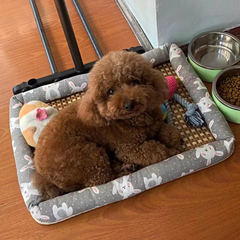 d9fcdd0c-a39d-45de-8ec1-b9123a595fff.jpe