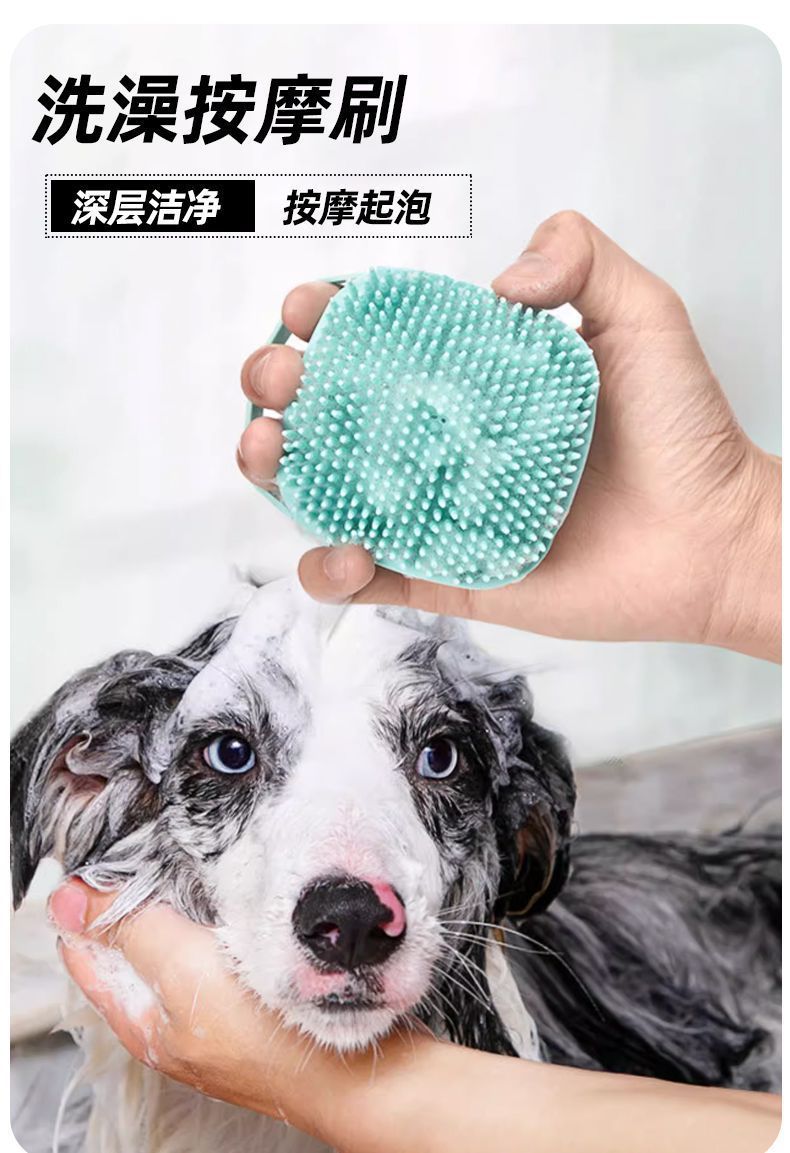 58d8a4e7-6295-4098-b317-f754f185ca29.jpe