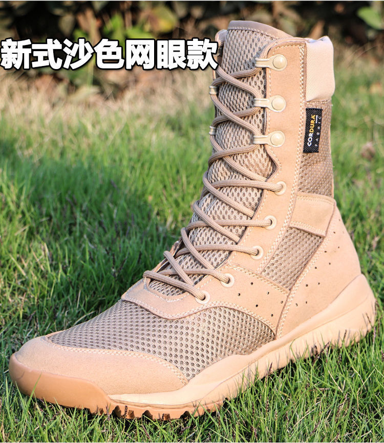 19ab7693-fcf5-4875-b9ef-0e9cdb4a54ec.jpe