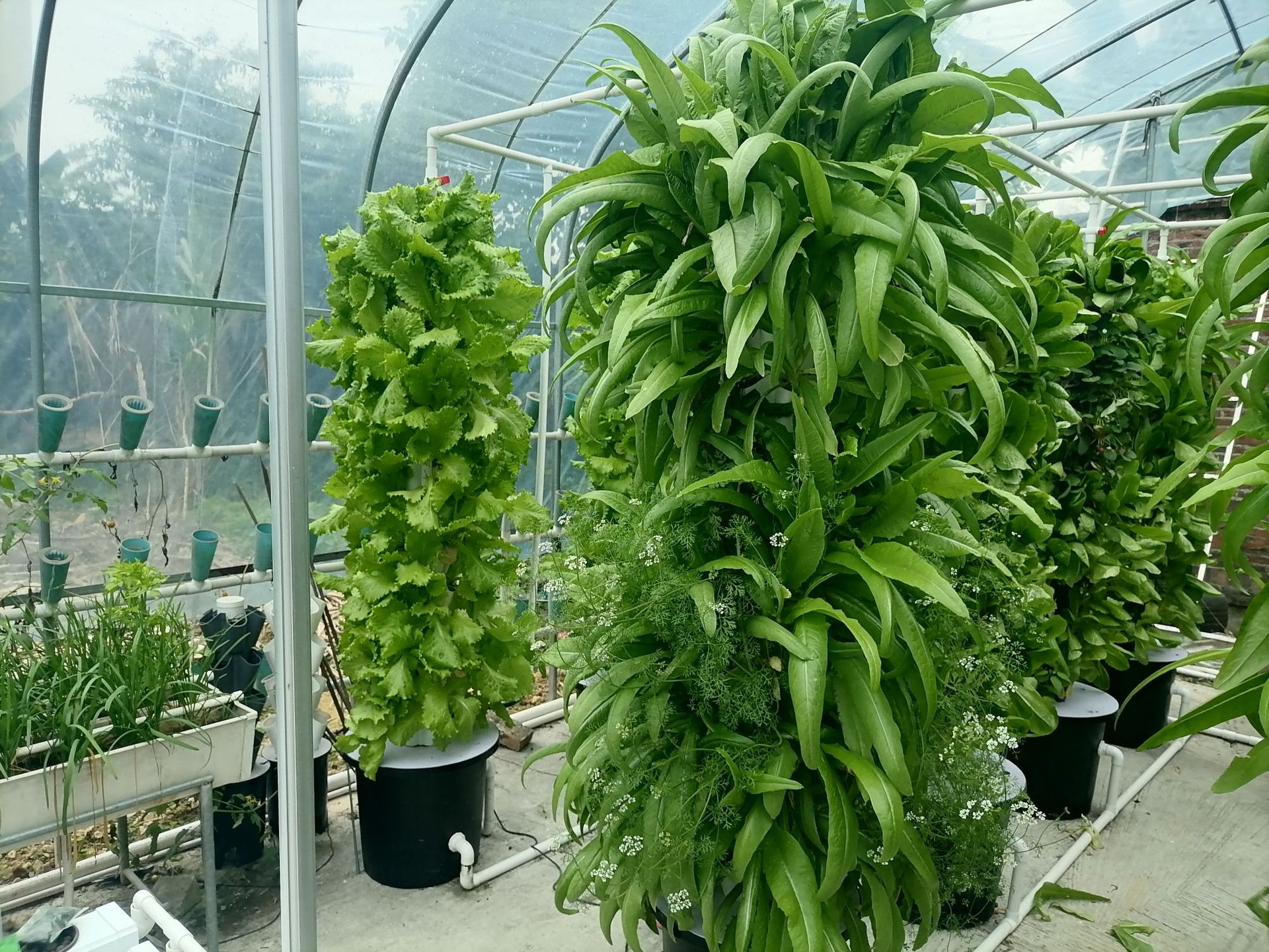 微信图片_20240625143154