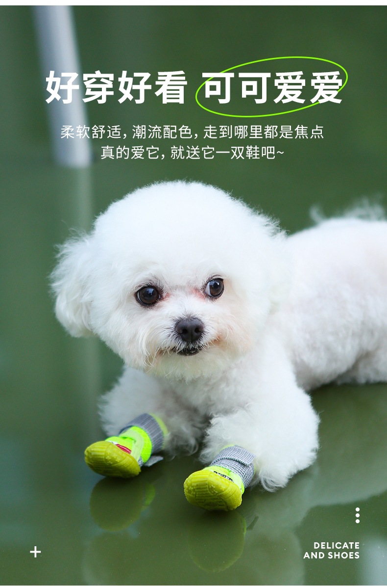 QQ图片20250402095548