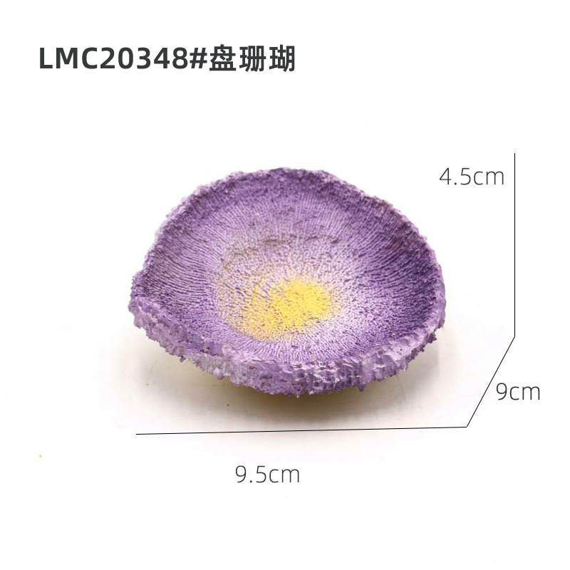 LMC20348#珊瑚