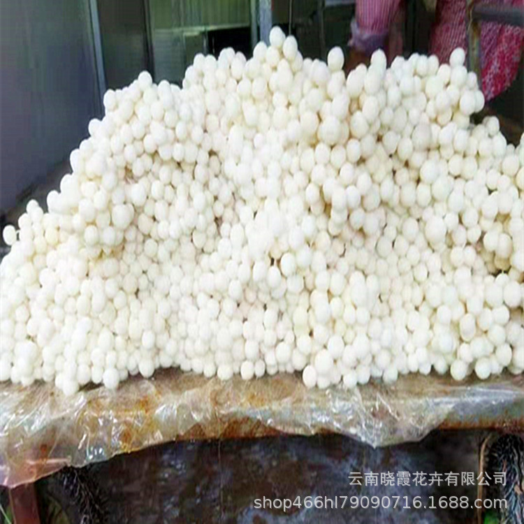 41d9ba41e314cbb8409357a4338095