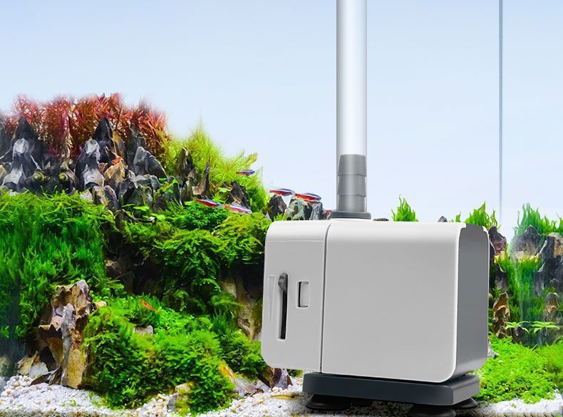 b79257cd-bf3b-4eee-894e-53f6a1962b6d.jpe