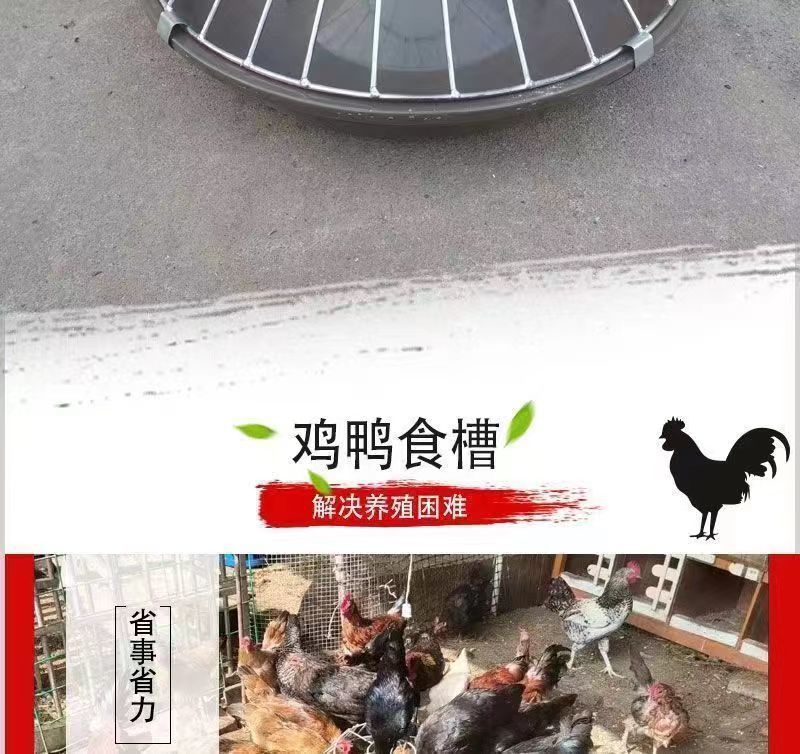 94796628-a372-4b22-a47c-e5a3e259cfd5.jpe