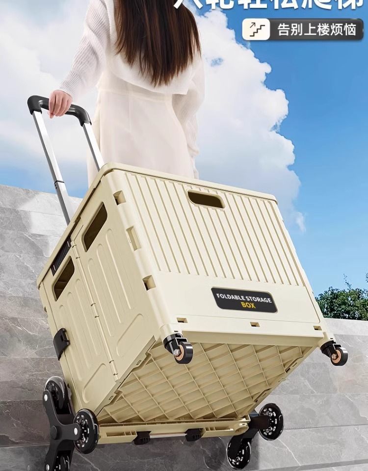 9eb59569-4ec8-400f-aee3-900e2ebfe703.jpe