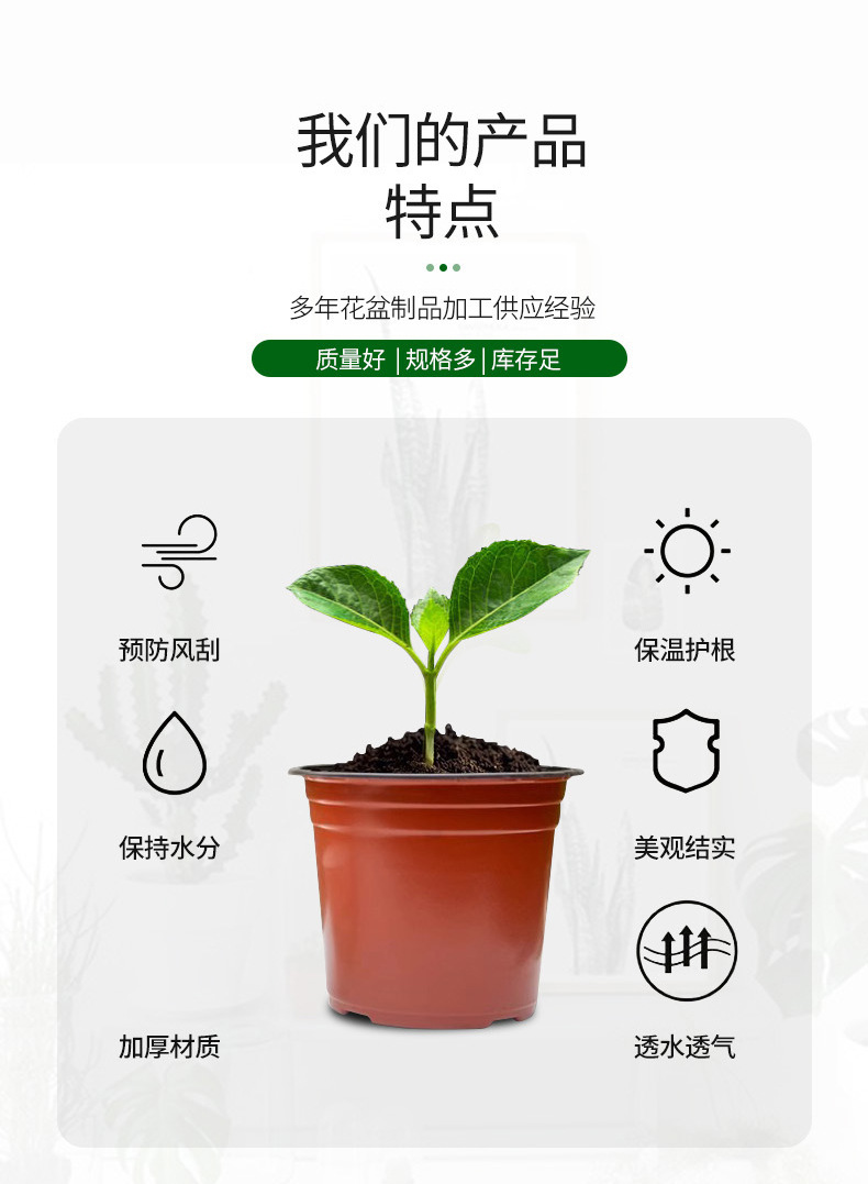 双色育苗盆,批发透气绿萝多肉花卉塑料花盆,加厚圆形双色pp塑料花盆