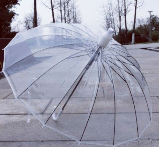 白边透明伞1